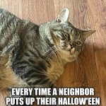 Holy Crap! What the hell is that? | ME TERRIFIED; EVERY TIME A NEIGHBOR PUTS UP THEIR HALLOW'EEN MASS MURDER DECORATIONS | image tagged in terrified cat,halloween is coming,neighbors,memes,jumpscare,too much | made w/ Imgflip meme maker