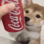 Coke dog GIF Template