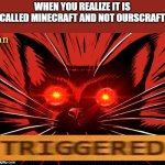 triggered cat | WHEN YOU REALIZE IT IS CALLED MINECRAFT AND NOT OURSCRAFT | image tagged in sabo tabby,triggered,minecraft,communist,communist cat,cats | made w/ Imgflip meme maker