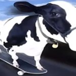 Skateboard cow | image tagged in skateboard cow | made w/ Imgflip meme maker