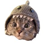 Shark Cat Head