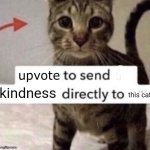 Upvote to send kindness directly to this cat | image tagged in upvote to send kindness directly to this cat | made w/ Imgflip meme maker