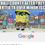 How to Handle fame | HALL COUNTY AFTER THEY ALERTED TX OVER MINOR ISSUE; Feistypineapple | image tagged in how to handle fame | made w/ Imgflip meme maker