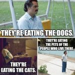 Pablo Escobar Reflects On The Effects Of The Haitian Migrant Crisis | THEY'RE EATING THE DOGS. THEY'RE EATING THE PETS OF THE PEOPLE WHO LIVE THERE. THEY'RE EATING THE CATS. | image tagged in memes,sad pablo escobar,haiti,illegal immigration,crisis,cats and dogs | made w/ Imgflip meme maker