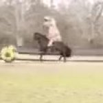 Dion playing football on horseback GIF Template