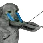 sad dog playing violin