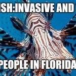 Lionfish | LIONFISH:INVASIVE AND TASTY; PEOPLE IN FLORIDA: | image tagged in lionfish | made w/ Imgflip meme maker