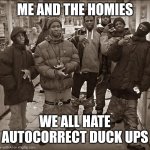 All My Homies Hate | ME AND THE HOMIES; WE ALL HATE AUTOCORRECT DUCK UPS | image tagged in all my homies hate | made w/ Imgflip meme maker