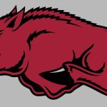 Razorback logo