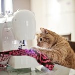 Cat at Sewing Machine