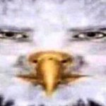 Serious eagle man