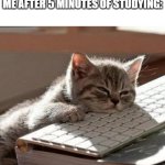 Like its so boring. Let me play games instead | ME AFTER 5 MINUTES OF STUDYING: | image tagged in tired cat,funny,meme,memes,funny memes,relatable | made w/ Imgflip meme maker