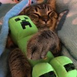 timeline | TIME TRAVELER: KICKS A ROCK
THE TIMELINE: | image tagged in cat hugging creeper,timeline,time travel,time traveler,creeper,cat | made w/ Imgflip meme maker