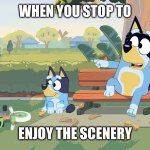 I’m low on meme ideas, so here’s another lame meme | WHEN YOU STOP TO; ENJOY THE SCENERY | image tagged in bluey | made w/ Imgflip meme maker