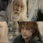 gandalf and pippin