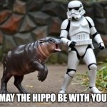 May The Hippo Be With You. | MAY THE HIPPO BE WITH YOU. | image tagged in hippo,hippopotamus,star wars,star wars meme,animals,zoo | made w/ Imgflip meme maker