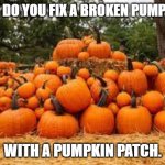 Daily Bad Dad Joke 10/07/2024 | HOW DO YOU FIX A BROKEN PUMPKIN? WITH A PUMPKIN PATCH. | image tagged in pumpkin patches in and around colleyville | made w/ Imgflip meme maker