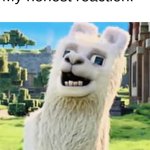 My Honest Reaction Lama meme