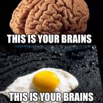 Feminists | THIS IS YOUR BRAINS; THIS IS YOUR BRAINS ON MODERN FEMINISM | image tagged in this is your brain,feminism | made w/ Imgflip meme maker