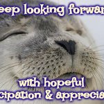 There No Need In Looking Back | Keep looking forward; with hopeful anticipation & appreciation | image tagged in memes,satisfied seal,forgive and forget,move on,keep moving forward,maintain an attitude of gratitude | made w/ Imgflip meme maker