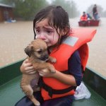 Flood puppy