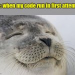 Holiday | Me: when my code run in first attempt | image tagged in memes,satisfied seal | made w/ Imgflip meme maker