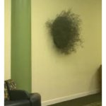 Hairy Walls