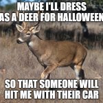 Dead Deer | MAYBE I'LL DRESS AS A DEER FOR HALLOWEEN; SO THAT SOMEONE WILL HIT ME WITH THEIR CAR | image tagged in deer | made w/ Imgflip meme maker