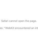 Webkit Error