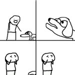 retarded dog