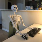 skeleton at computer