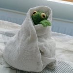 Kermit Blanket