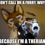 Furry with gun | DON'T CALL ME A FURRY. WHY? BECAUSE I'M A THERIAN. | image tagged in furry with gun | made w/ Imgflip meme maker