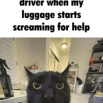 LuggageCat meme