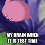 my brain | MY BRAIN WHEN IT IS TEST TIME | image tagged in gifs,kirby | made w/ Imgflip video-to-gif maker