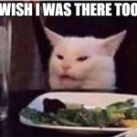 Wish I was there too | WISH I WAS THERE TOO | image tagged in white dinner table cat | made w/ Imgflip meme maker