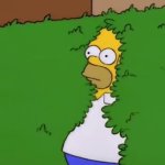 Homer Simpson bush GIF Template