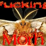 fucking morh meme