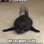 Moew | NOBODY:; MY CAT WHEN I SLIDE HER TOY MOUSE OVER THE FLOOR: | image tagged in cursed cat,cars,cat,cursed image,cats | made w/ Imgflip meme maker