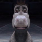 Donkey Staring