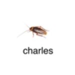 low quality bug charles meme