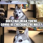 Bad Pun Dog | IF YOUR BOYFRIEND SENDS YOU NUDES THROUGH THE POST OFFICE, DOES THAT MEAN YOU'RE GONNA BE CHECKING THE MALE? | image tagged in memes,bad pun dog | made w/ Imgflip meme maker