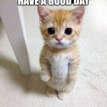 hi : D | HAVE A GOOD DAY | image tagged in memes,cute cat | made w/ Imgflip meme maker