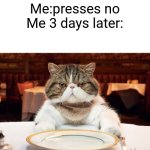 True, right?... Right? | Website:Allow cookies?
Me:presses no
Me 3 days later: | image tagged in hungry cat | made w/ Imgflip meme maker