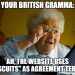 Cookies? What are those? | YOUR BRITISH GRAMMA:; AH, THE WEBSITE USES "BISCUITS" AS AGREEMENT TERMS! | image tagged in memes,grandma finds the internet | made w/ Imgflip meme maker