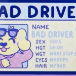 Florida Drivers License