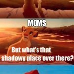 Simba Shadowy Place | INTERNET HISTORY; MOMS; WE DO NOT GO THERE!!! | image tagged in memes,simba shadowy place | made w/ Imgflip meme maker