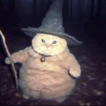 Fat Cat Magician