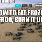 I like turtles | HOW TO EAT FROZEN FROG, BURN IT UP | image tagged in i like turtles | made w/ Imgflip meme maker