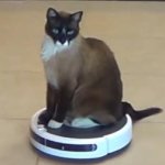 cat riding a roomba